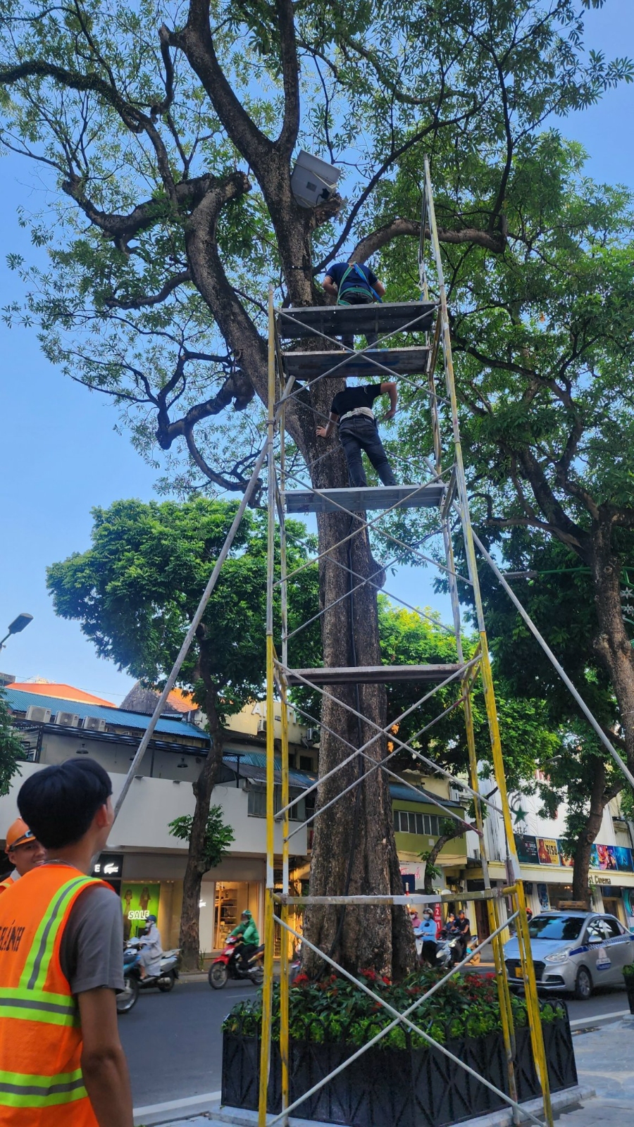 cho thuê giàn giáo xây dựng tại Hà Nội